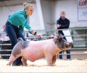 Emilee Lindquist at a FAA livestock judging competition.