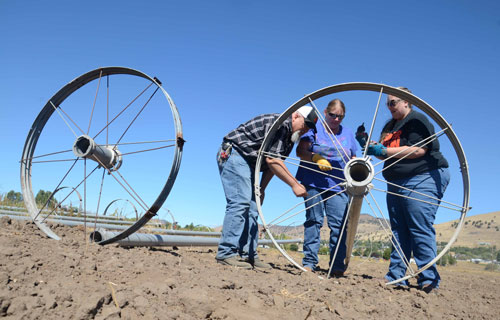 Transportation, Industry, Engineering, and Agriculture