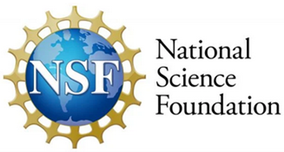 NSF Logo